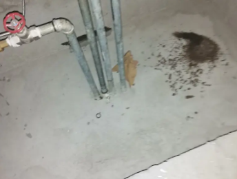 高密卫生间测漏水价格明细